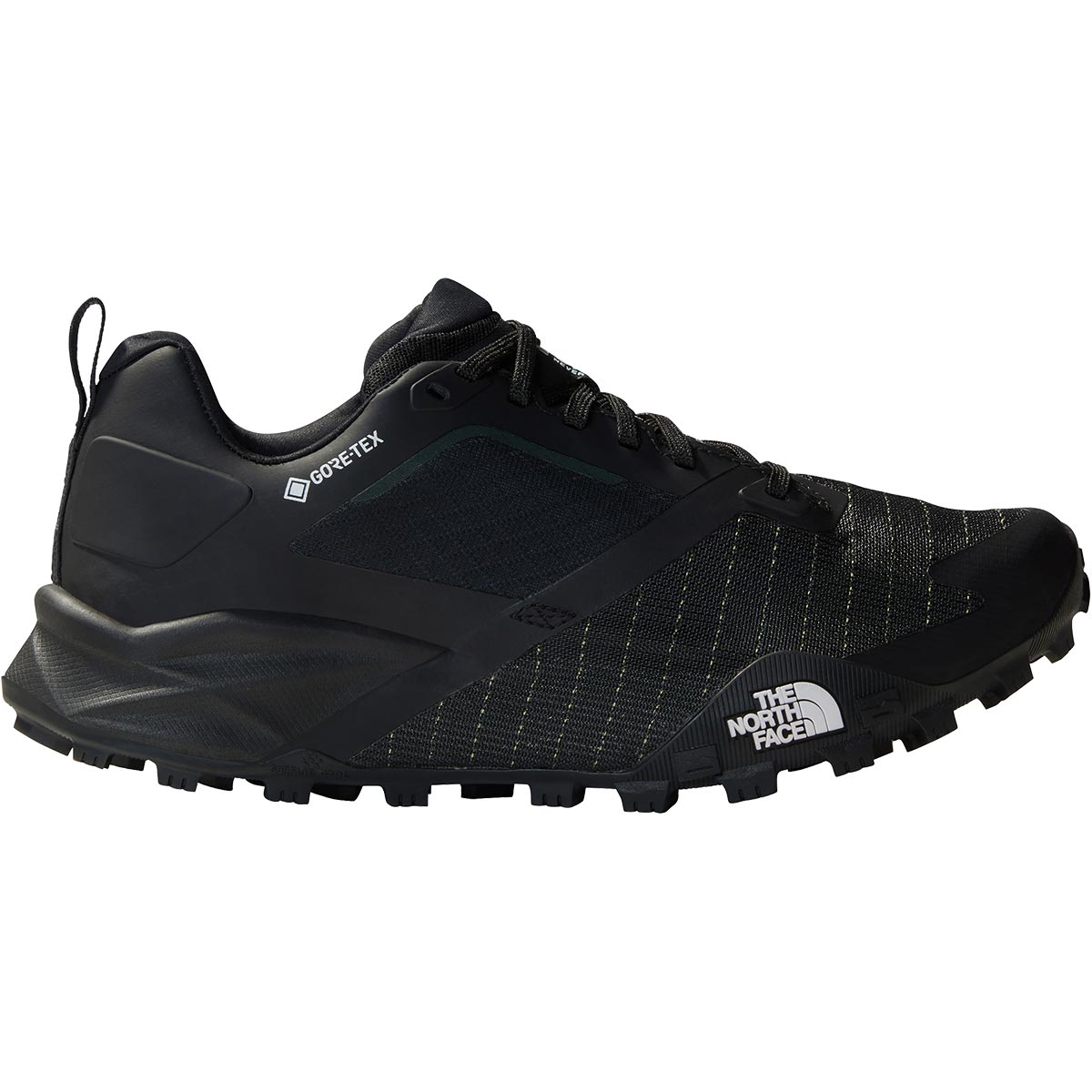 The North Face GORE-TEX スノーボードウェア ウィンタースポーツ