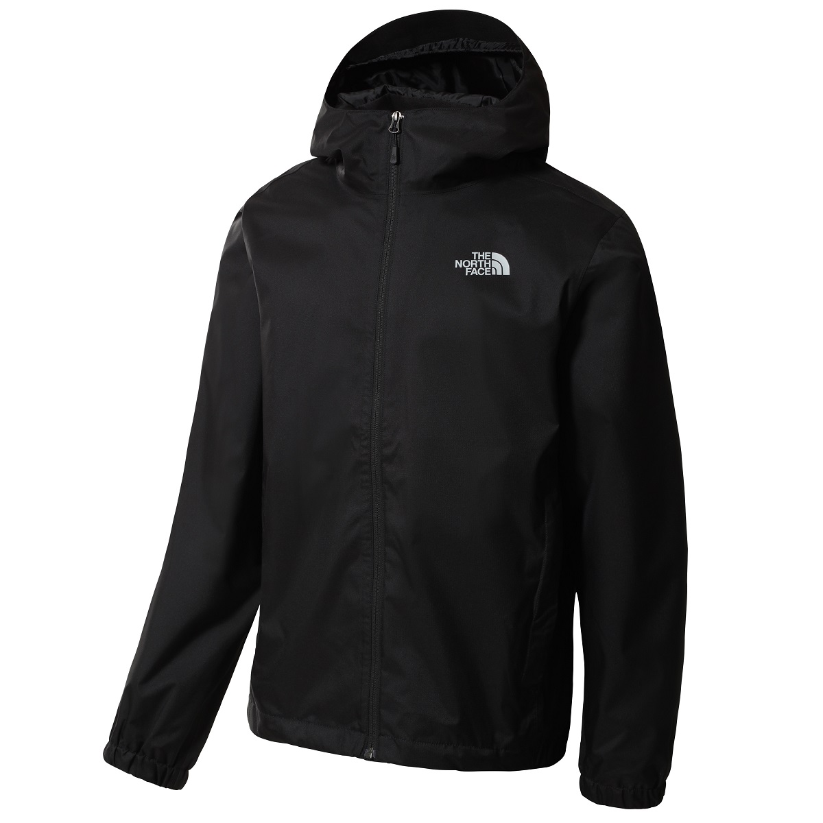THE NORTH FACE ノースフェイス マウンテンパーカー メンズ